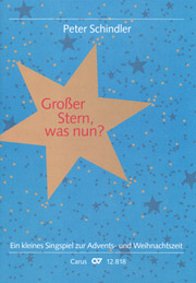 Schindler: Großer Stern, was nun?