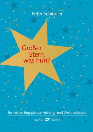 Peter Schindler: Großer Stern, was nun? 