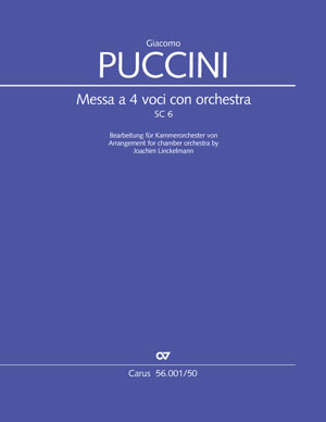 Arrangement for chamber orchestra – small ensemble, maximum impact!